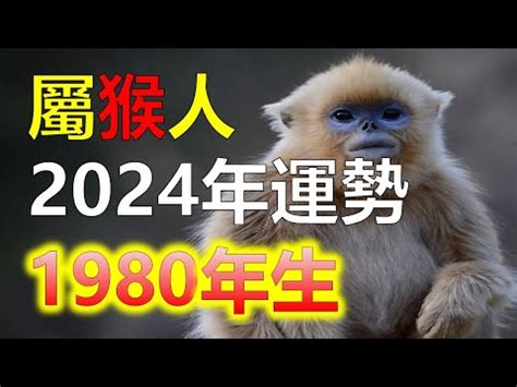 1980屬猴|【1980猴】1980猴命運解讀！五行屬性與2023年運勢全攻略